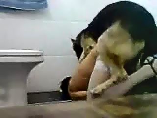 Dog fucking man
