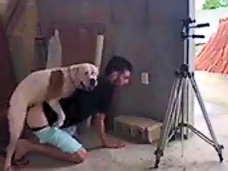 Dog fucking man