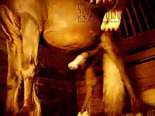 Jerking off horse dick