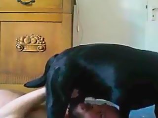 Man sucks dog cock