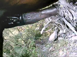 Gay handjob horse dick