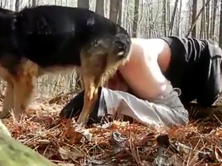 Free male animal sex video