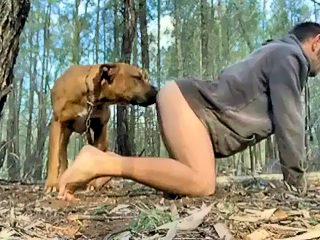 Free male animal sex video