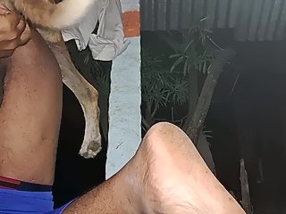 Gay sex with dog