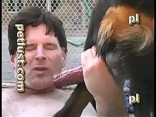 Zoo gay xxx. Ugly male swallow dog cum