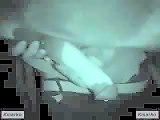 Men sucking horse cock