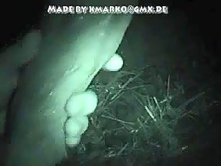 Men sucking horse cock